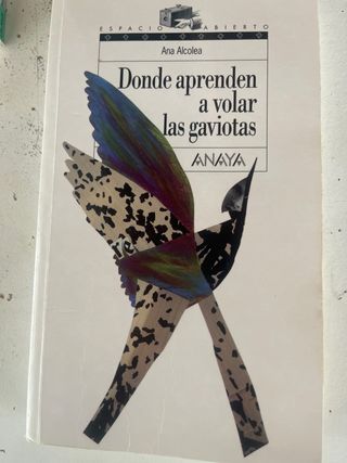 Donde aprenden a volar las gaviotas (Espacio Ab...