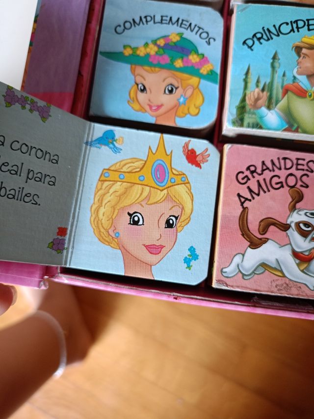 Minilibros (12 libritos)