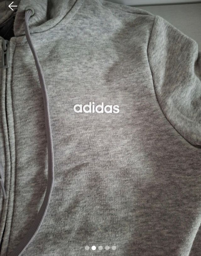 Sudadera gris capucha