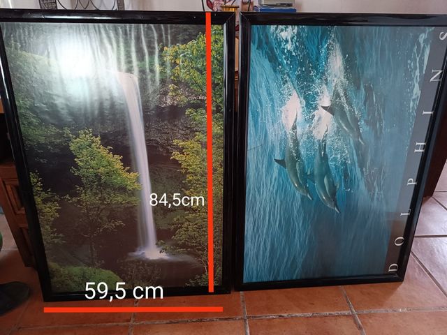 2 Cuadros grandes - Naturaleza & Delfines