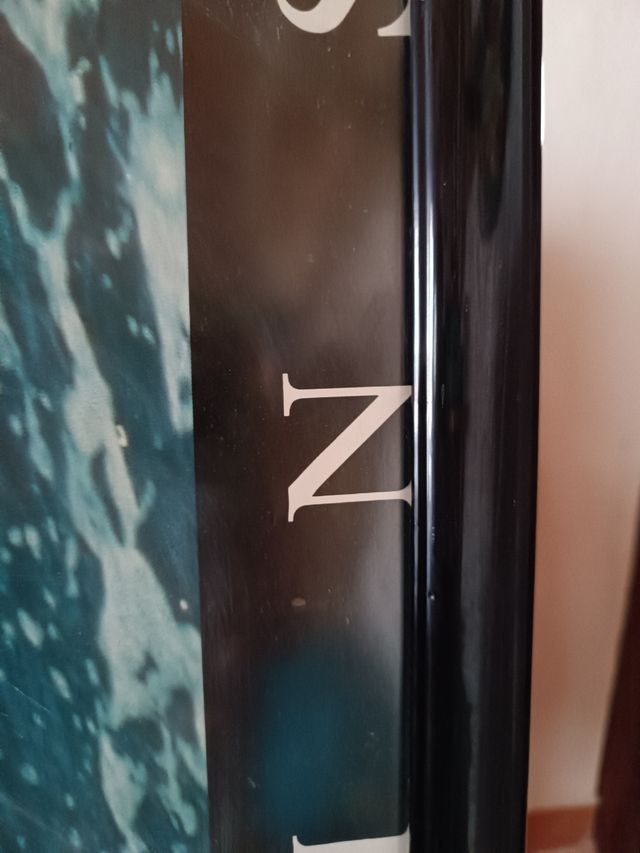 2 Cuadros grandes - Naturaleza & Delfines