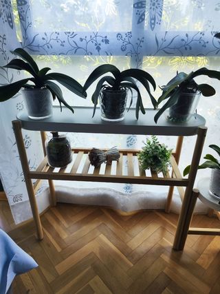 Estanteria plantas - bambú blanco