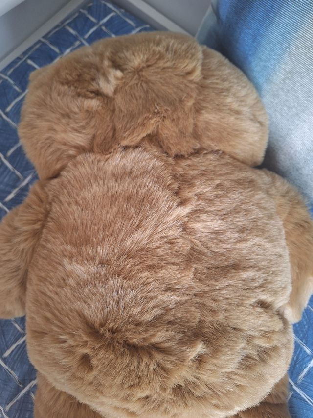 Grande Orso Peluche Marrone