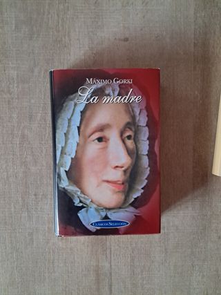 Lote de libros de adultos.