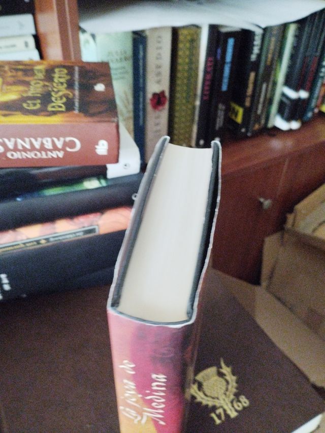 LA JOYA DE MEDINA (histórica s.VII)