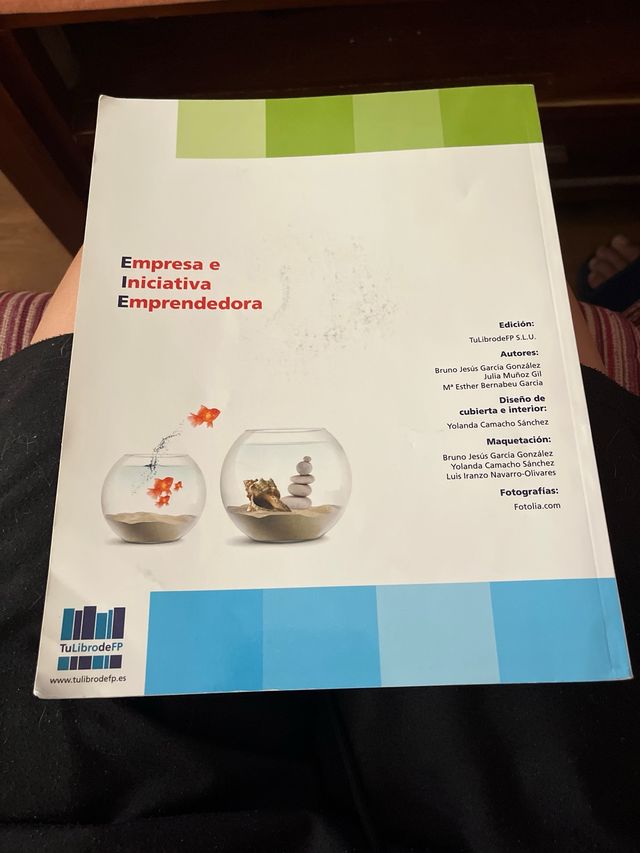 EMPRESA E INICIATIVA EMPRENDEDORA