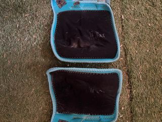 Protectores para caballos Professional's Choice