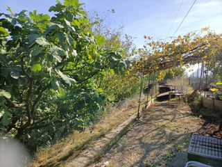 Oviedo.Finca rústica  1300m2