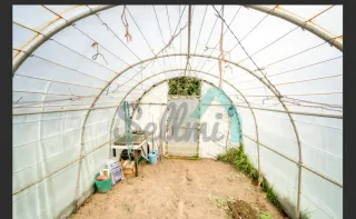 Oviedo.Finca rústica  1300m2