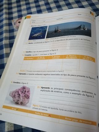 Caderno de atividades / O meu diário de aulas -...