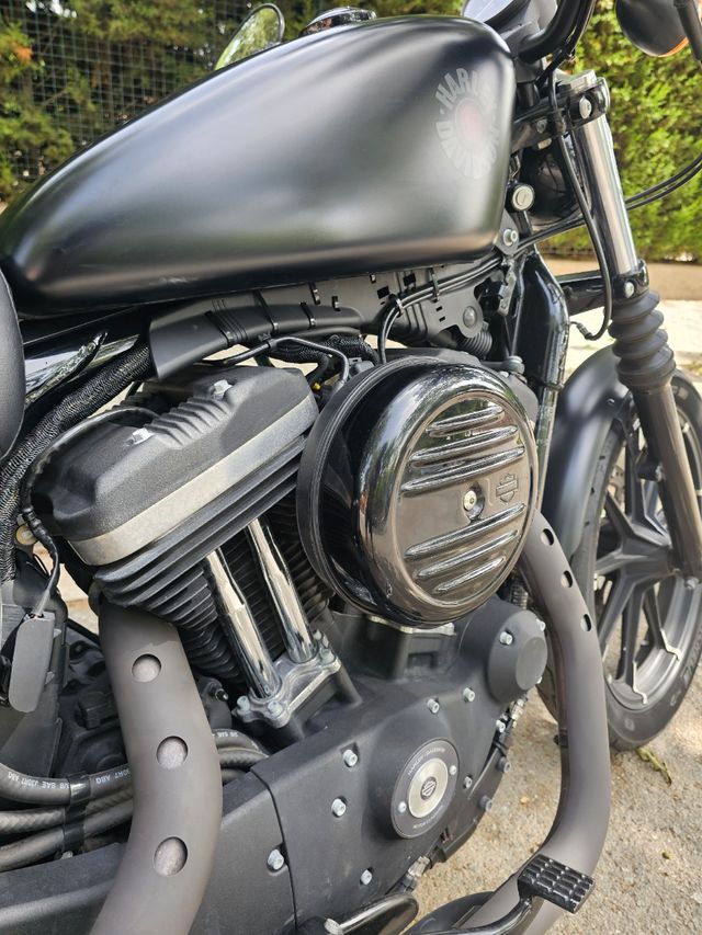 Harley Davidson Iron 883