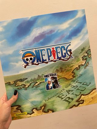 One Piece - Litografia 25° anniversario
