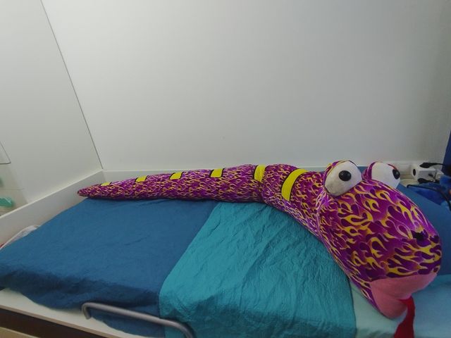 Peluches Variados - 15 piezas