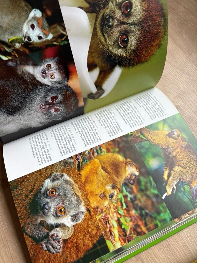 Libros 1000 Dinosarios y 1000 crías de animales