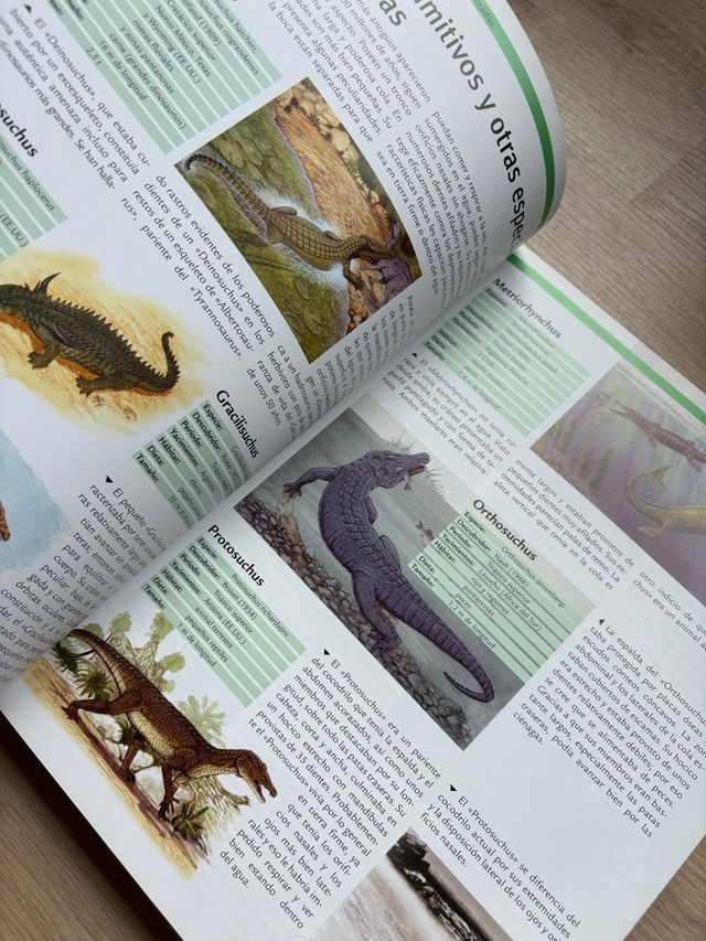 Libros 1000 Dinosarios y 1000 crías de animales