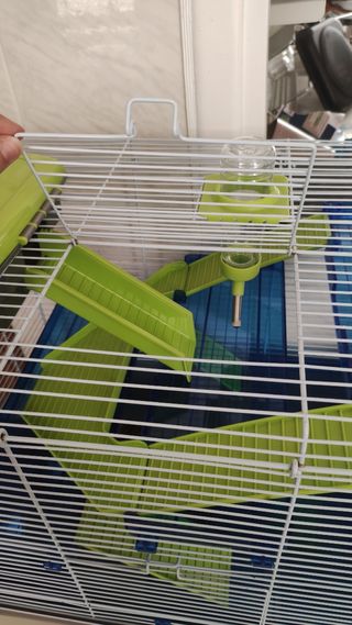 Jaula hamster azul-verde