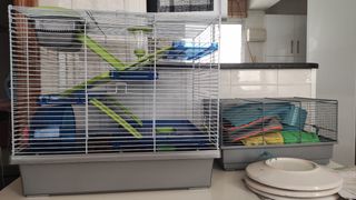 Jaula hamster azul-verde