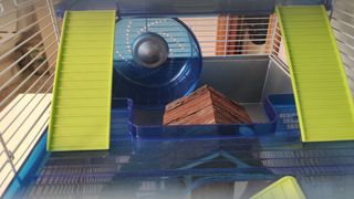 Jaula hamster azul-verde