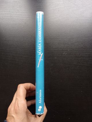 Dictados y sentencias