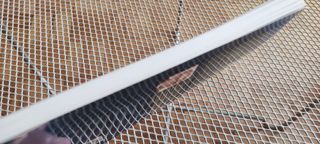 La Radio Antigua - Docampo Otero