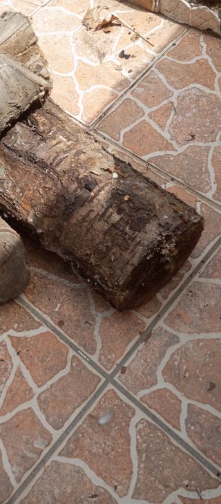 Troncos madera - Regalo, recojer en domicilio