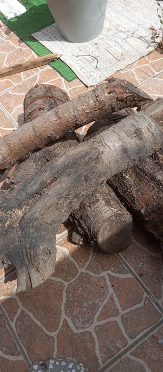 Troncos madera - Regalo, recojer en domicilio