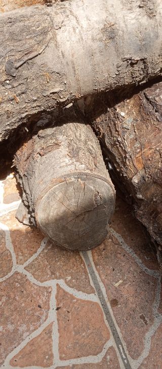Troncos madera - Regalo, recojer en domicilio