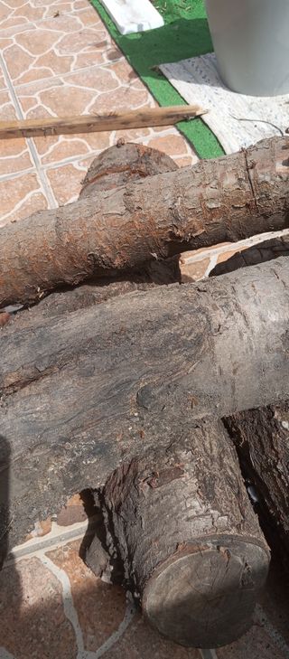Troncos madera - Regalo, recojer en domicilio