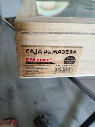 Fósiles auténticos - DinoPetrea