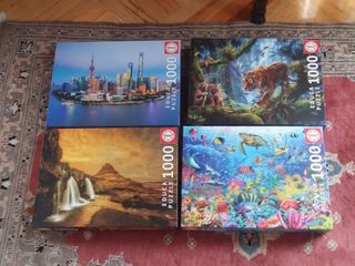 4 Puzzles Educativos 1000 piezas