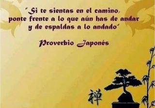 Artes Marciales. Acondicionamieto físico 
