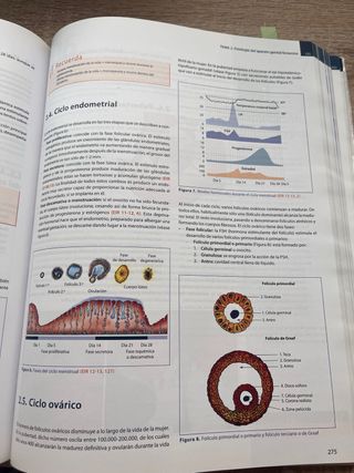 Manual Cto de Enfermería. Tomo I. 6ª Edición