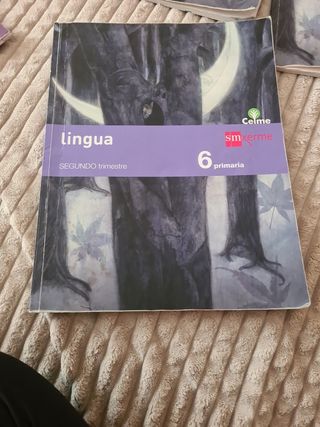Lingua. 6 Primaria. Celme