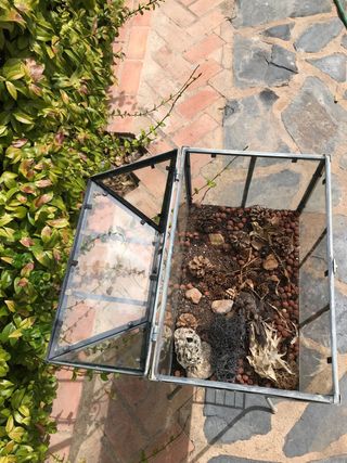 Terrario jardinera de cristal gris - Decoración