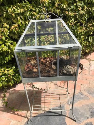 Terrario jardinera de cristal gris - Decoración