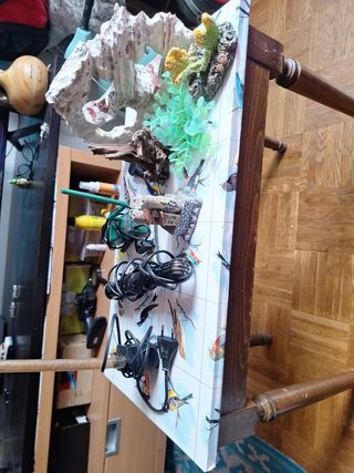 Accesorios acuario: Calentador y filtro