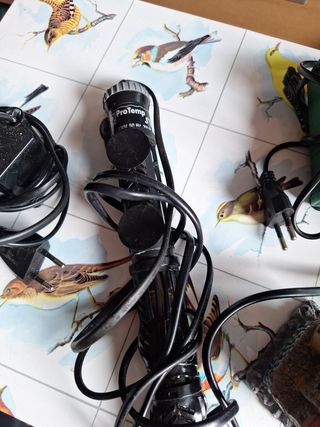 Accesorios acuario: Calentador y filtro