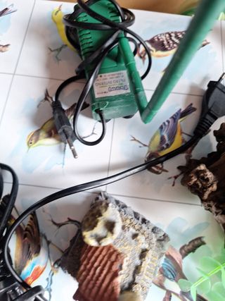Accesorios acuario: Calentador y filtro