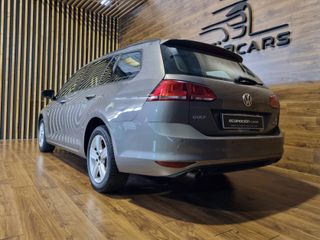 VOLKSWAGEN Golf Bluemotion 1.6 TDI 110CV
