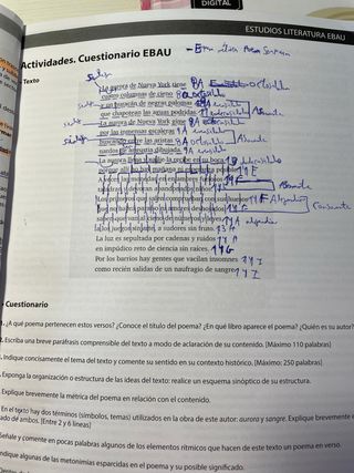 Estudios Literatura Ebau 2º Bachillerato (Comun...