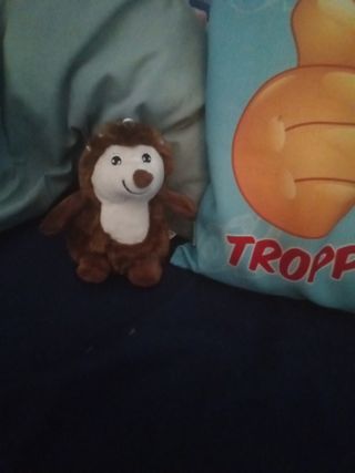 Peluche Riccio - Gioco Bambini