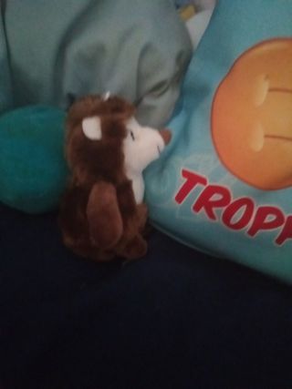 Peluche Riccio - Gioco Bambini