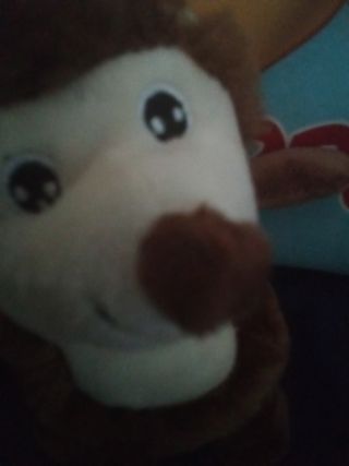 Peluche Riccio - Gioco Bambini