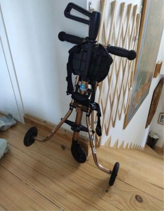 Triciclo Micro Trike - Plegable