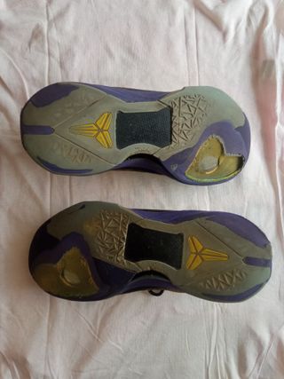 Zapatillas basket Zoom Kobe 7 Poison Dart Frog LAL