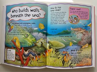 My First Question and Answer Book