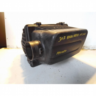 Filtro aire Peugeot 307 Break (3E) (2002) 