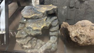 Terrario de cristal con luces y accesorios