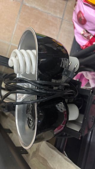 Terrario de cristal con luces y accesorios