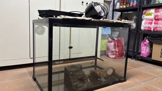 Terrario de cristal con luces y accesorios